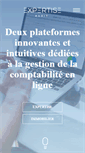 Mobile Screenshot of expertise-audit.fr
